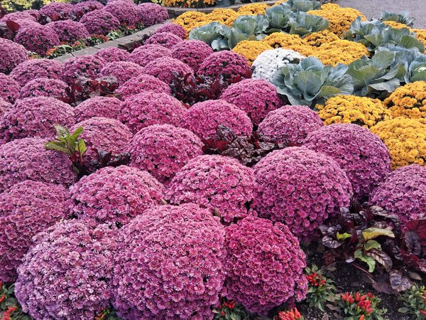 Carreleurs à annecy : transformez vos espaces avec du carrelage